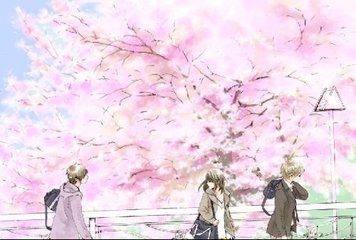一清二楚不遮不挡韩剧网